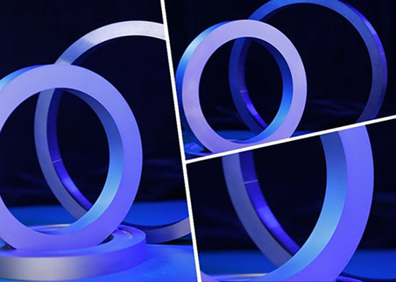 Wear Resistance Tungsten Carbide Seal Rings